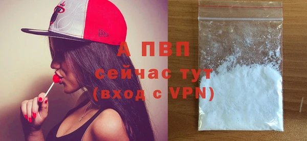 гашик Пересвет