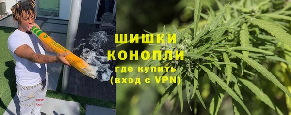 гашик Пересвет