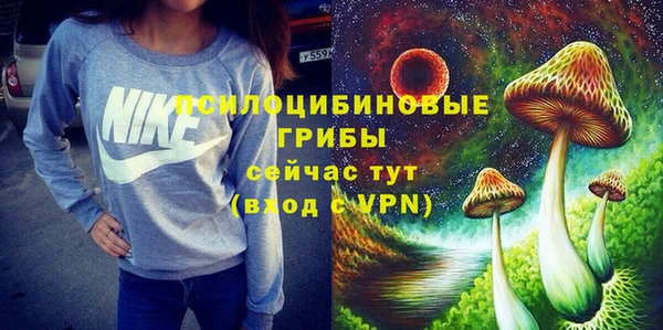 прущие крисы Алзамай